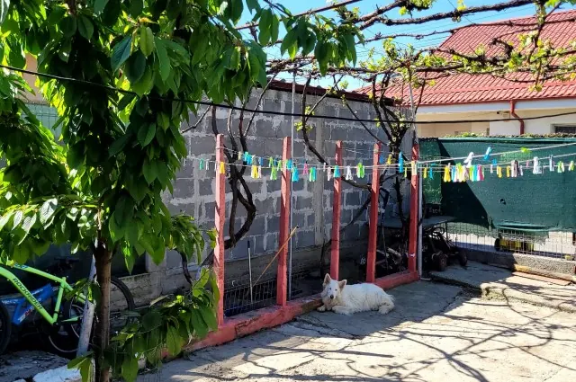 Casă individuală de vânzare -parter,renovată, cu vecini liniștiți, fotografia 2