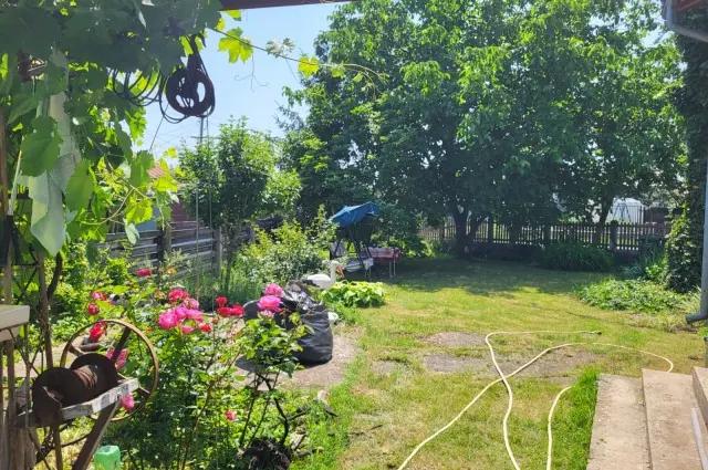 Casă P+M de vânzare -Ciolpani – teren de 800 mp!, fotografia 3