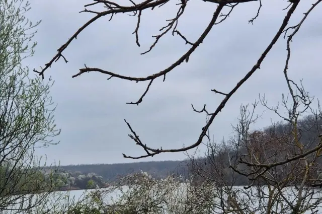 Casă + teren cu ieșire la lac, Branesti, Ilfov-800 mp teren, P+1+pod, fotografia 4