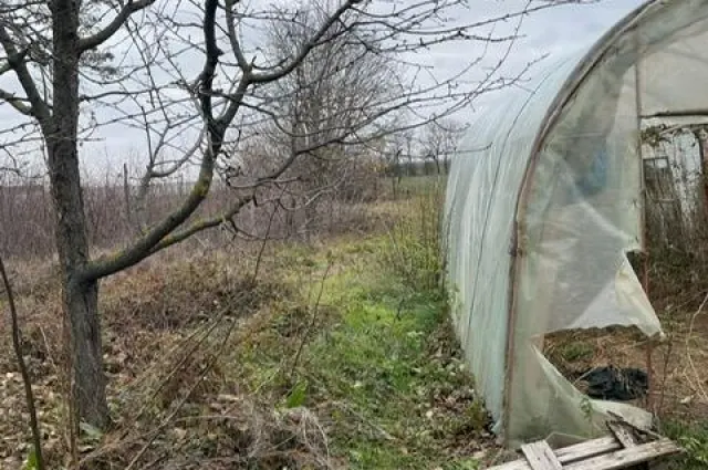 De vânzare teren generos 3.736 mp + casă bătrânească în Sat Dimieni – Șos. Tunari-Balotești, fotografia 4