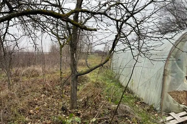 De vânzare teren generos 3.736 mp + casă bătrânească în Sat Dimieni – Șos. Tunari-Balotești, fotografia 5