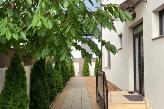 Duplex spațios de închiriat, fotografia 5