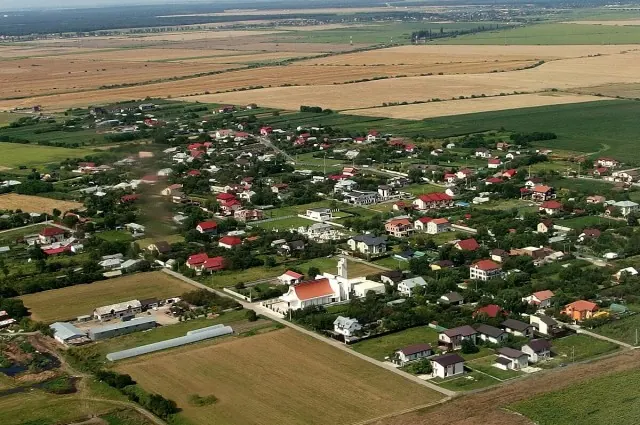 Teren de vânzare în Tunari-Dimieni,Ilfov – 9.818 mp, fotografia 2