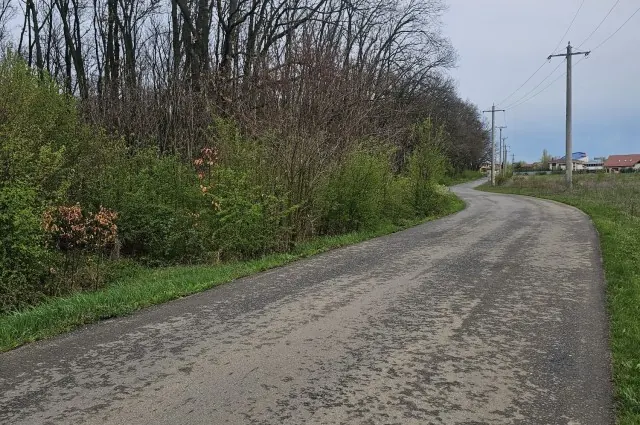 Teren intravilan Corbeanca – 2 loturi a câte 1250 mp, fotografia 3