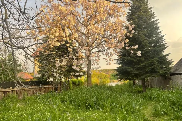 Teren intravilan de vânzare în Tâncăbești, Ilfov -2303 mp -Deschidere la lac, fotografia 2