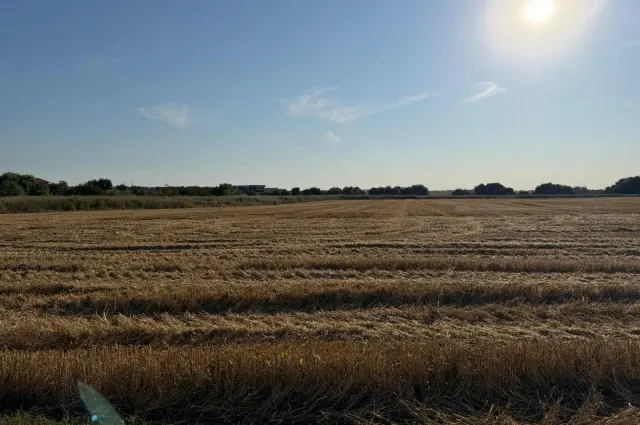 Teren intravilan de vânzare – Tunari, jud. Ilfov/8000mp, fotografia 4